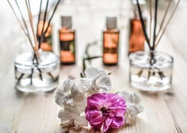 Most Popular Essential Oils to Start With