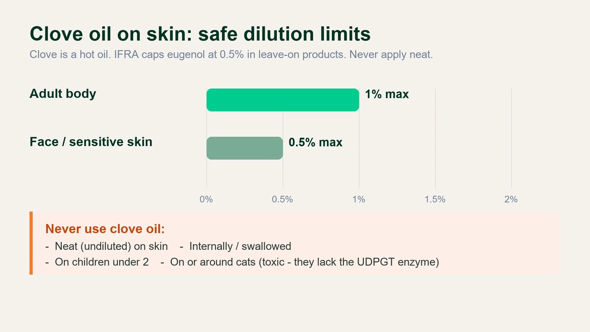 Chart of safe clove oil skin dilution: adult body 1 percent maximum, face 0.5 percent maximum; never use neat, internally, on children under 2, or on cats.